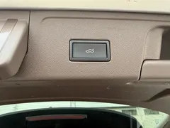 2022 Volkswagen Viloran 380TSI Premium — фото 24