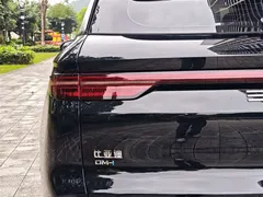 2025 BYD Song Pro 75KM, чёрный — фото 13