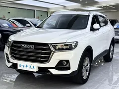 2021 Haval H6 Guochao 1.5GDIT AT Champion, белый — фото 1