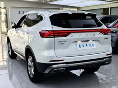 2021 Haval H6 Guochao 1.5GDIT AT Champion, белый — фото 10