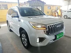 2022 Haval H9 2.0T Petrol 4WD 5-seat, белый — фото 4