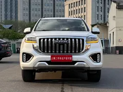 2022 Haval H9 2.0T Petrol 4WD 5-seat, белый — фото 1