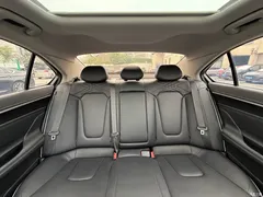 2021 Hyundai Famous pictures 270TGDi DCT TOP Flagship — фото 18