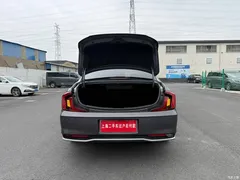 2021 Hyundai Famous pictures 270TGDi DCT TOP Flagship — фото 24