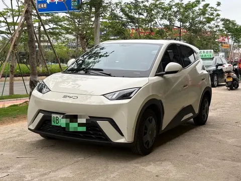 2024 BYD Seagull Honor 305km Vitality
