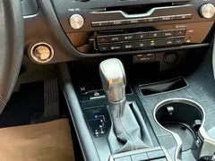 2020 Lexus RX 300 2WD Elite National VI, белый — фото 10