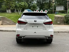 2020 Lexus RX 300 2WD Elite National VI, белый — фото 15