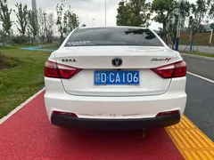 2021 Changan Eado DT 1.6L AT, белый — фото 10