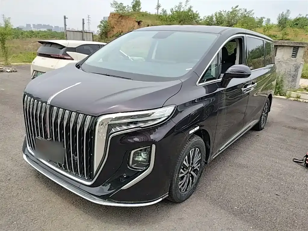 2024 Hongqi HQ9 2.0T 4WD