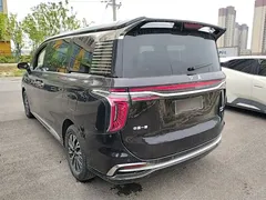 2024 Hongqi HQ9 2.0T 4WD — фото 5