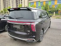 2024 Hongqi HQ9 2.0T 4WD — фото 7