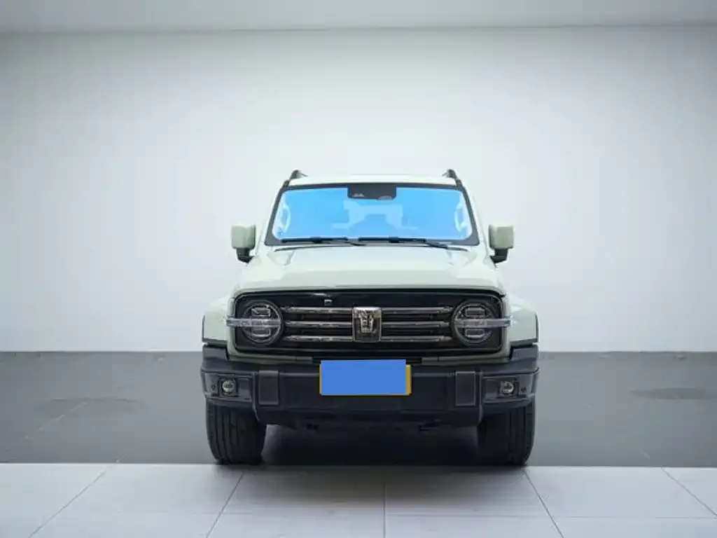 2021 Tank 300 2.0T