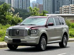 2023 Tank 500 3.0T special customization 5 seats — фото 1