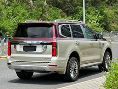 2023 Tank 500 3.0T special customization 5 seats — фото 4