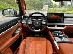 2023 Tank 500 3.0T special customization 5 seats — фото 9