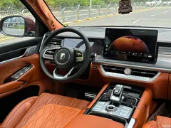 2023 Tank 500 3.0T special customization 5 seats — фото 14