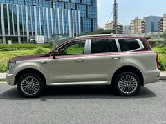 2023 Tank 500 3.0T special customization 5 seats — фото 21
