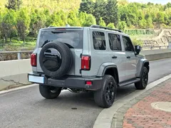 2023 Tank 300 Off-road 2.0T Conqueror — фото 4
