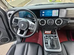 2023 Tank 300 Off-road 2.0T Conqueror — фото 17