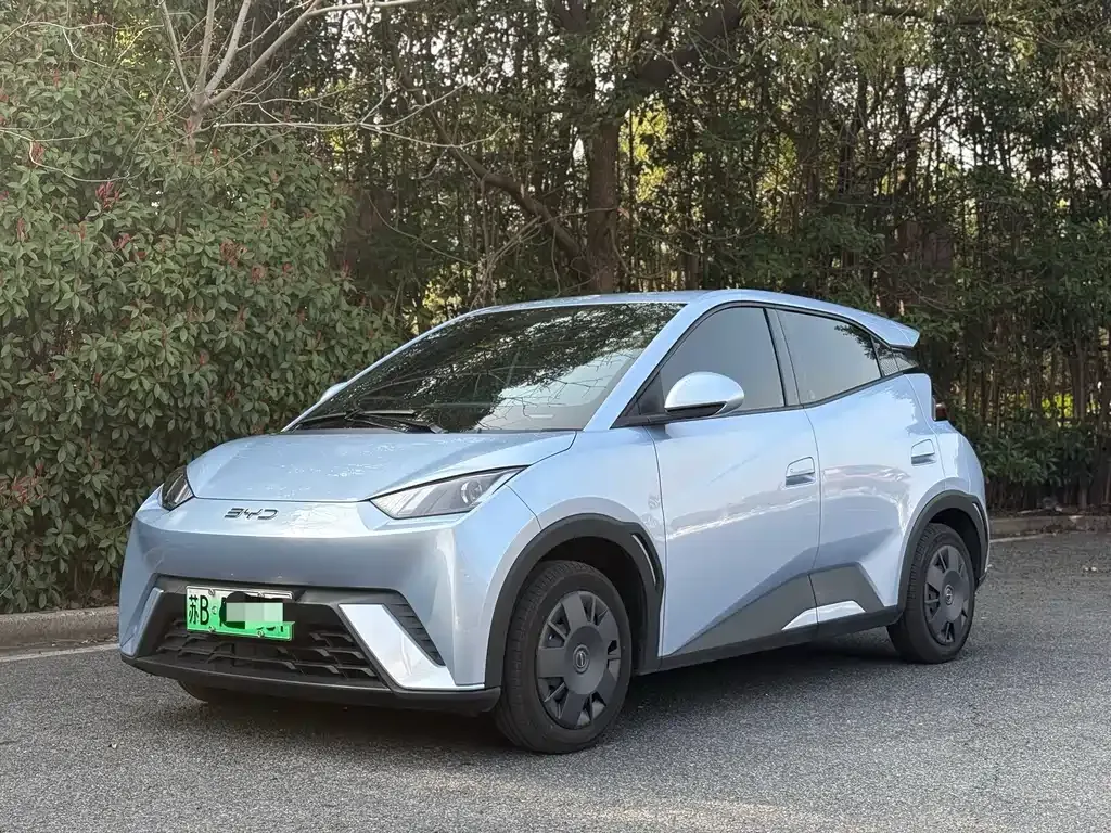 2024 BYD Seagull Honor 305km Vitality