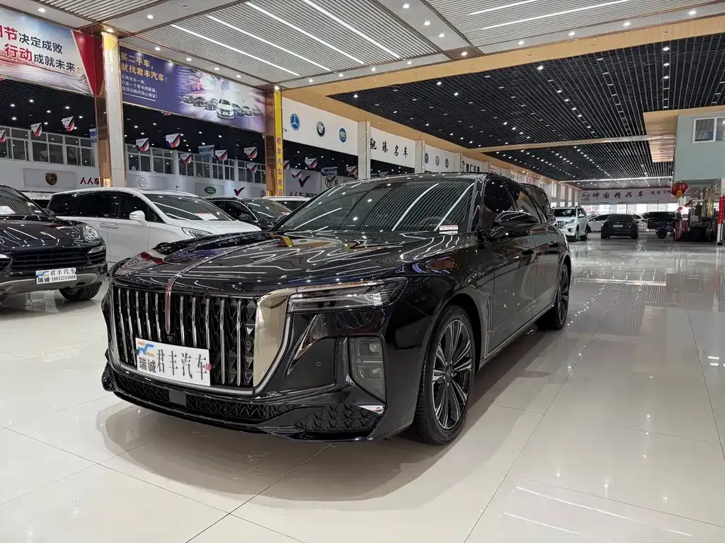 2024 Hongqi H9 2.0T Fashion