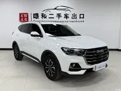 2021 Haval H6 Guochao 1.5T AT Urban, белый — фото 3