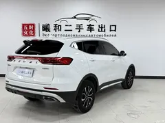 2021 Haval H6 Guochao 1.5T AT Urban, белый — фото 4