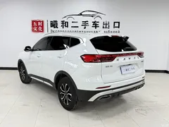 2021 Haval H6 Guochao 1.5T AT Urban, белый — фото 6