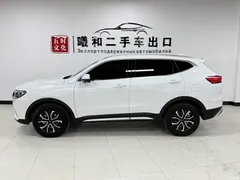 2021 Haval H6 Guochao 1.5T AT Urban, белый — фото 7