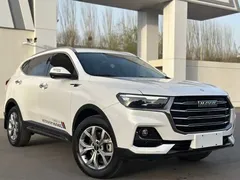 2021 Haval H6 1.5GDIT AT, белый — фото 2