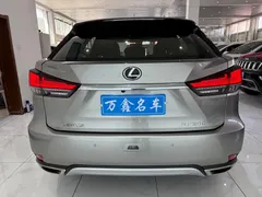 2020 Lexus RX 300 2WD Elite — фото 18