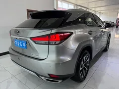 2020 Lexus RX 300 2WD Elite — фото 19
