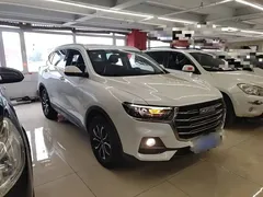 2021 Haval H6 1.5T AT Guochao Urban, белый — фото 4