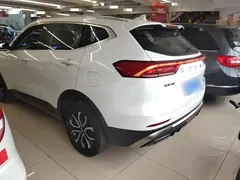 2021 Haval H6 1.5T AT Guochao Urban, белый — фото 5
