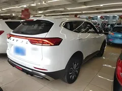 2021 Haval H6 1.5T AT Guochao Urban, белый — фото 7