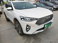 2021 Haval F7 2.0T 2WD Fan, белый — фото 4