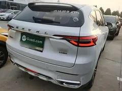 2021 Haval F7 2.0T 2WD Fan, белый — фото 7