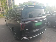 2024 Hongqi HQ9 2.0T 4WD — фото 5