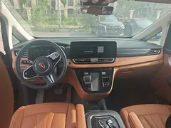 2024 Hongqi HQ9 2.0T 4WD — фото 10