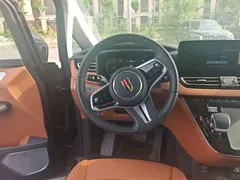 2024 Hongqi HQ9 2.0T 4WD — фото 11
