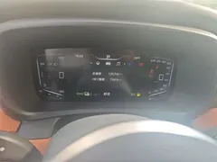 2024 Hongqi HQ9 2.0T 4WD — фото 12