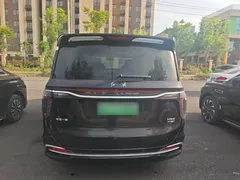 2024 Hongqi HQ9 2.0T 4WD — фото 6