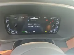 2024 Hongqi HQ9 2.0T 4WD — фото 12