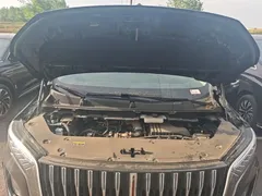2024 Hongqi HQ9 2.0T 4WD — фото 20