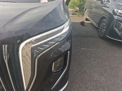 2024 Hongqi HQ9 2.0T 4WD — фото 24
