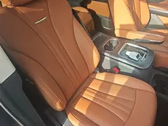 2024 Hongqi HQ9 2.0T 4WD — фото 25