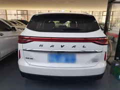 2021 Haval H6 3rd Gen 2.0T AT 4WD Max, белый — фото 4