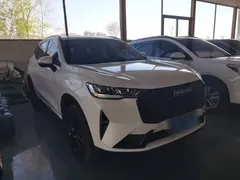 2021 Haval H6 3rd Gen 2.0T AT 4WD Max, белый — фото 22