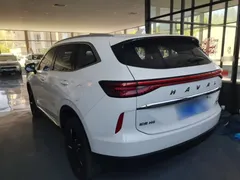 2021 Haval H6 3rd Gen 2.0T AT 4WD Max, белый — фото 23