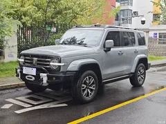 2021 Tank 300 City 2.0T Very Stylish — фото 1